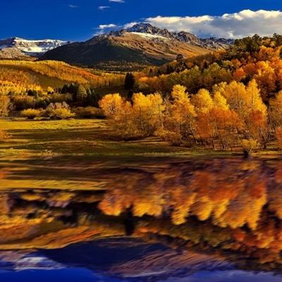 im电竞官方官网app下载